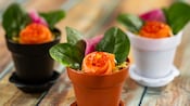 Three small flower pots containing fresh-cut salmon shaped like a flower 