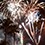 Fireworks light a skyline of palm trees