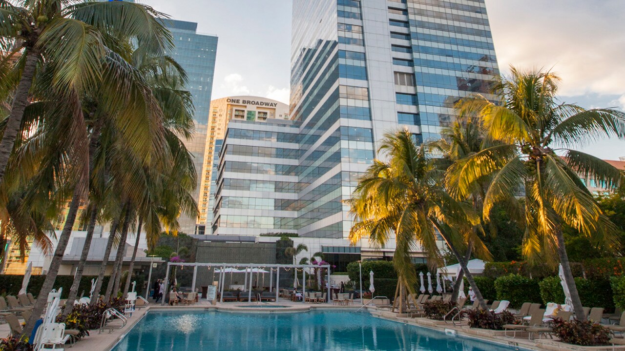 Palm trees flanking the swimming pool of the Four Seasons Hotel Miami
