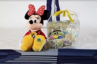 Minnie Spring Bunny Delight Minnie Spring Bunny Delight