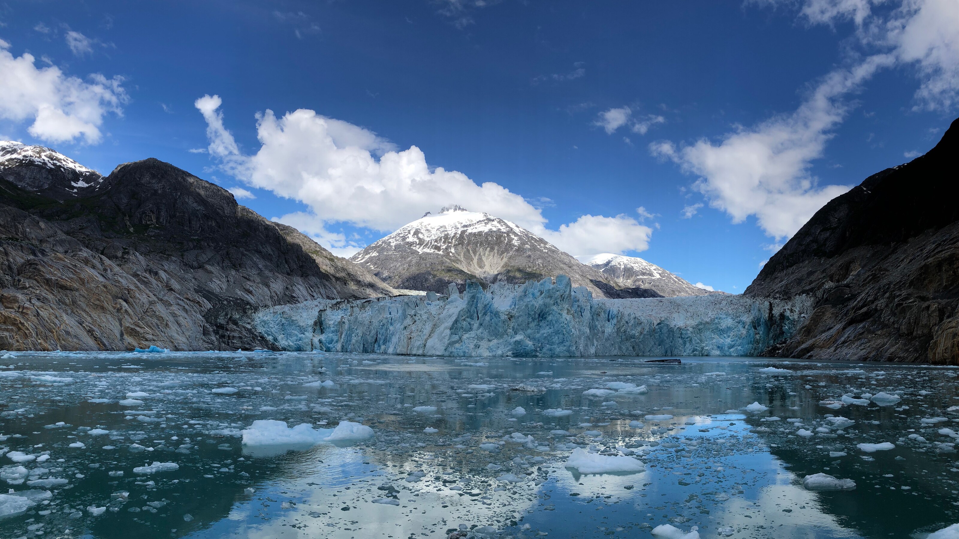 Ice covered cliffs along a fjord
