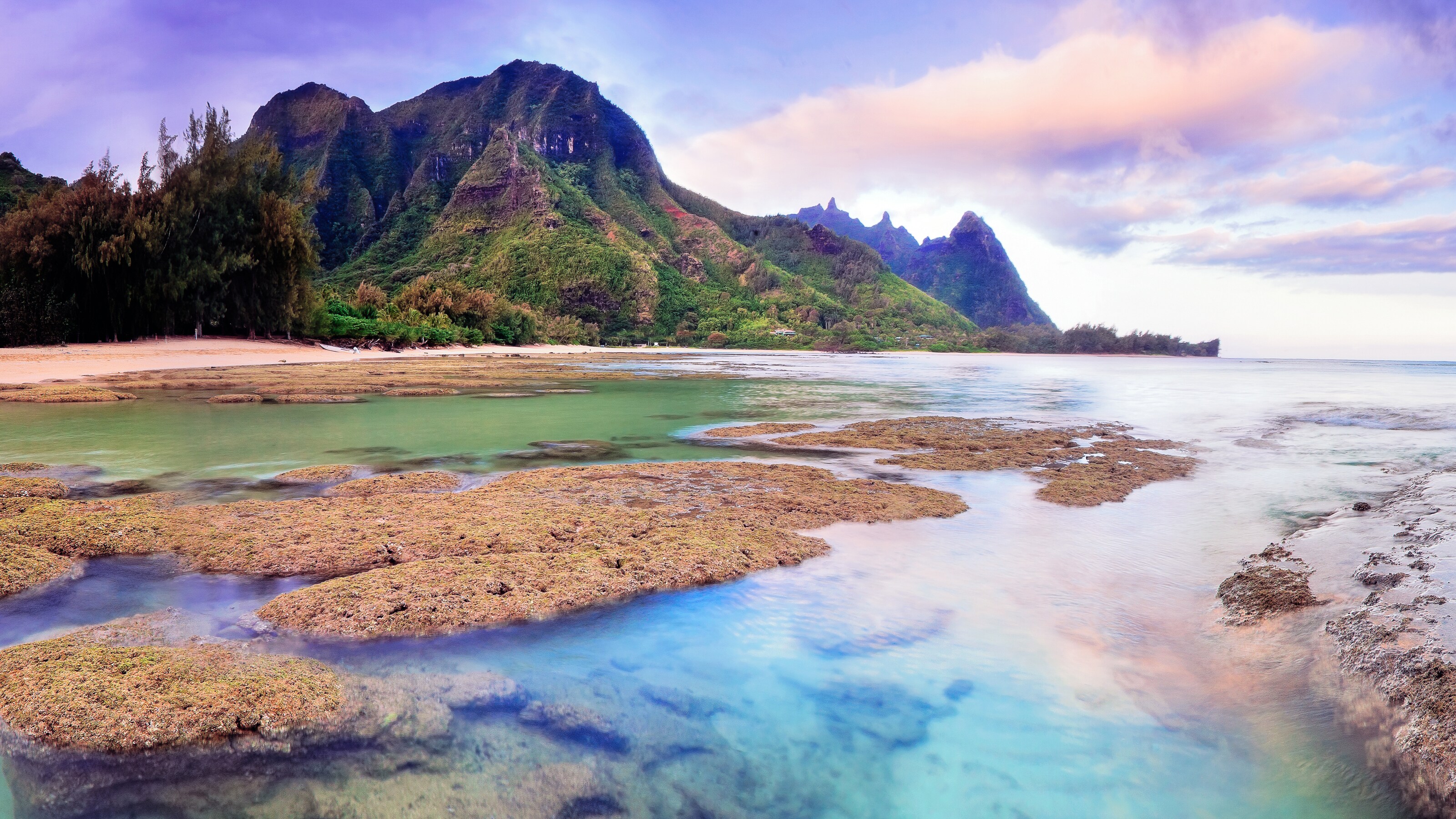 A marsh with a lush mountain in the background