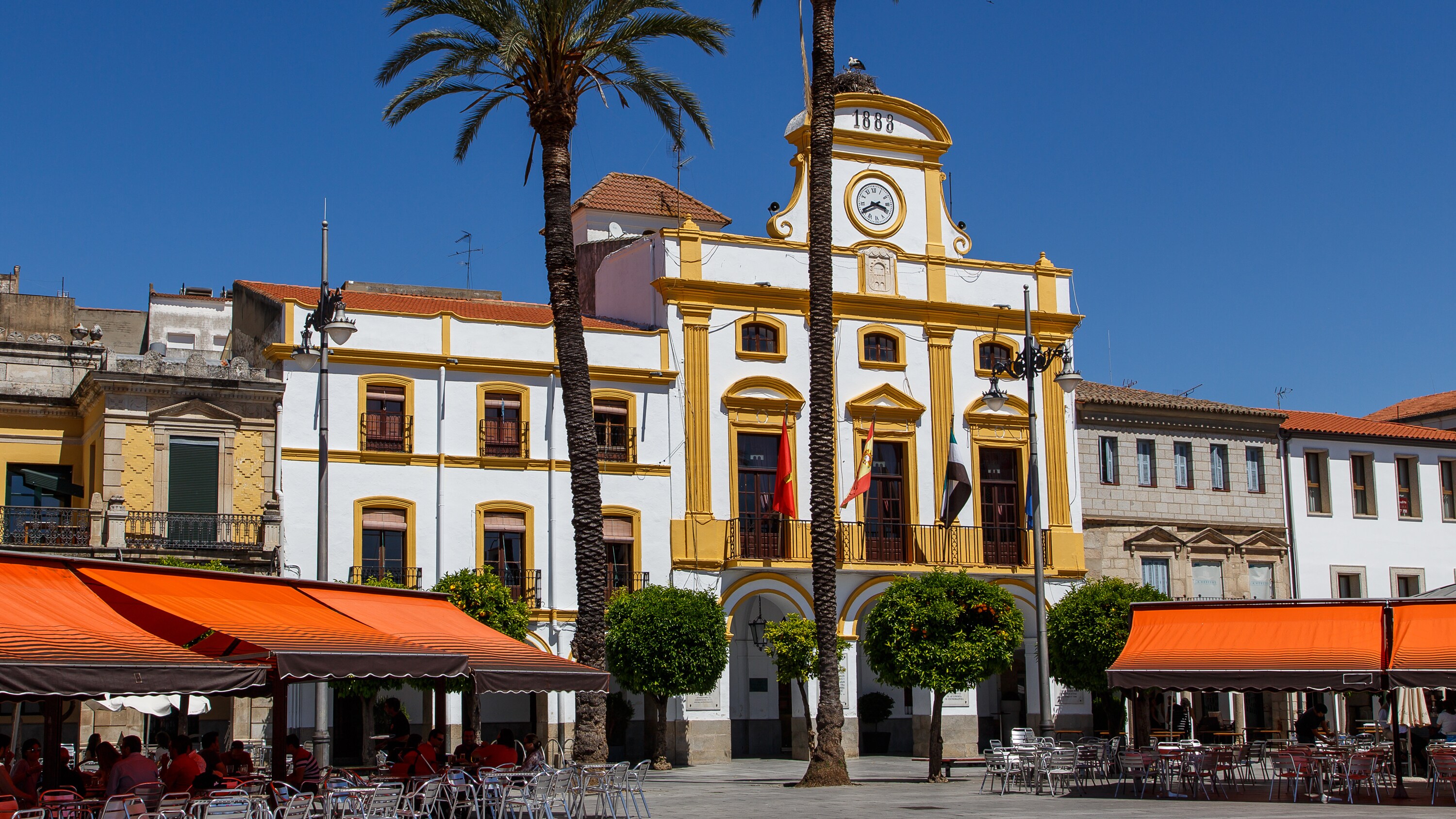 Plaza Mayor, an outdoor shopping area with tall palm trees, historic Spanish buildings and people sitting at shaded café tables. 