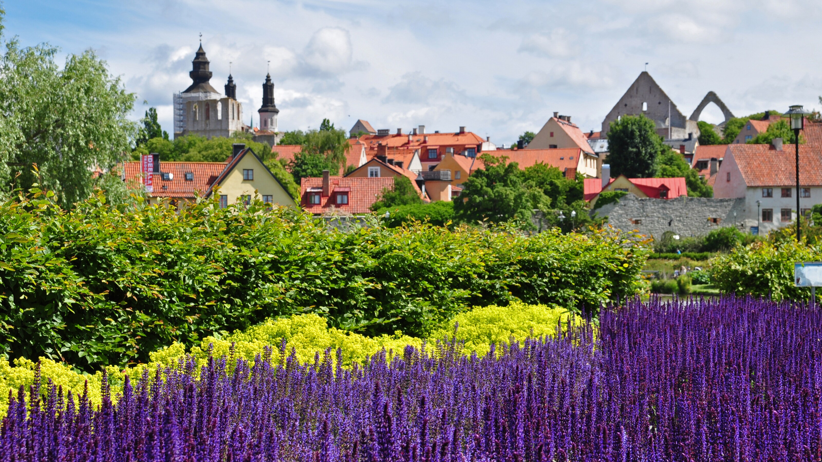 Century old buildings amid lush foliage and lavender bushes