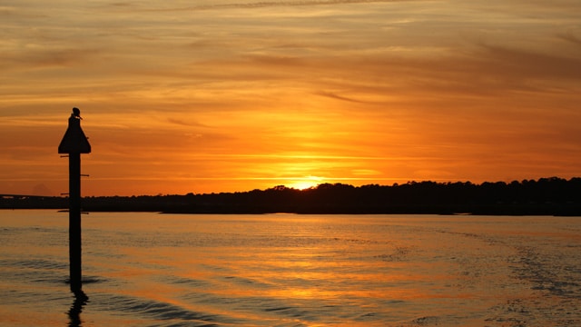 Disney's Hilton Head Island Resort