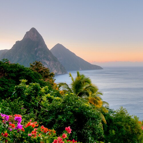 Mountain peaks descend to a bay while tropical vegetation and flower blossoms line the foreground