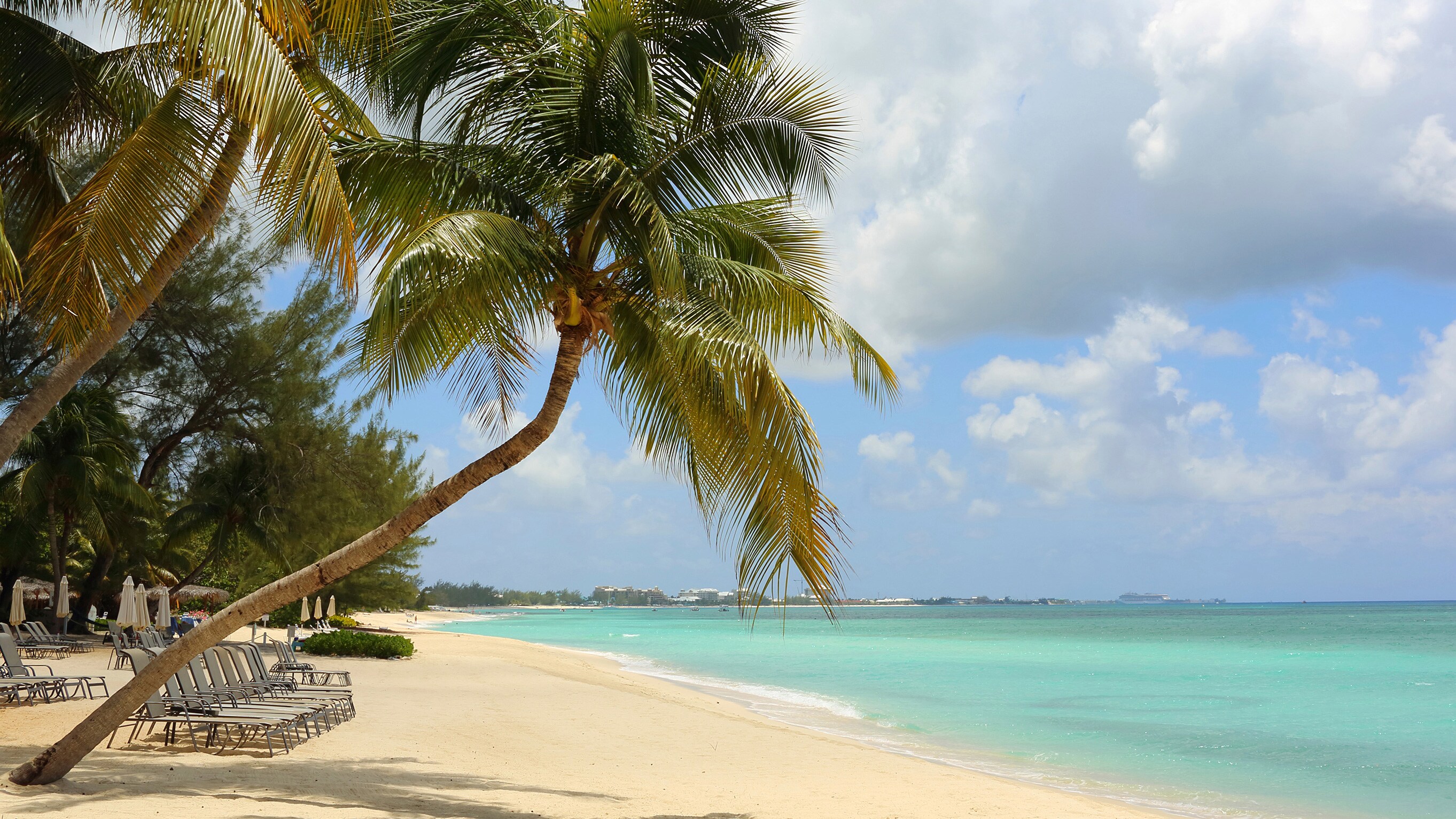 A beach featuring lounge chairs, umbrellas and palm trees