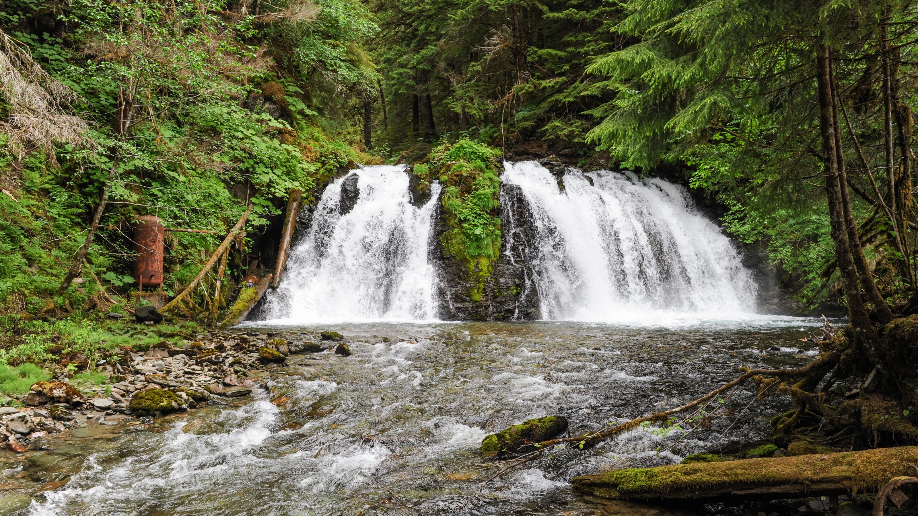 A water fall in the forest pours into a small pool before streaming off over mossy rocks and logs
