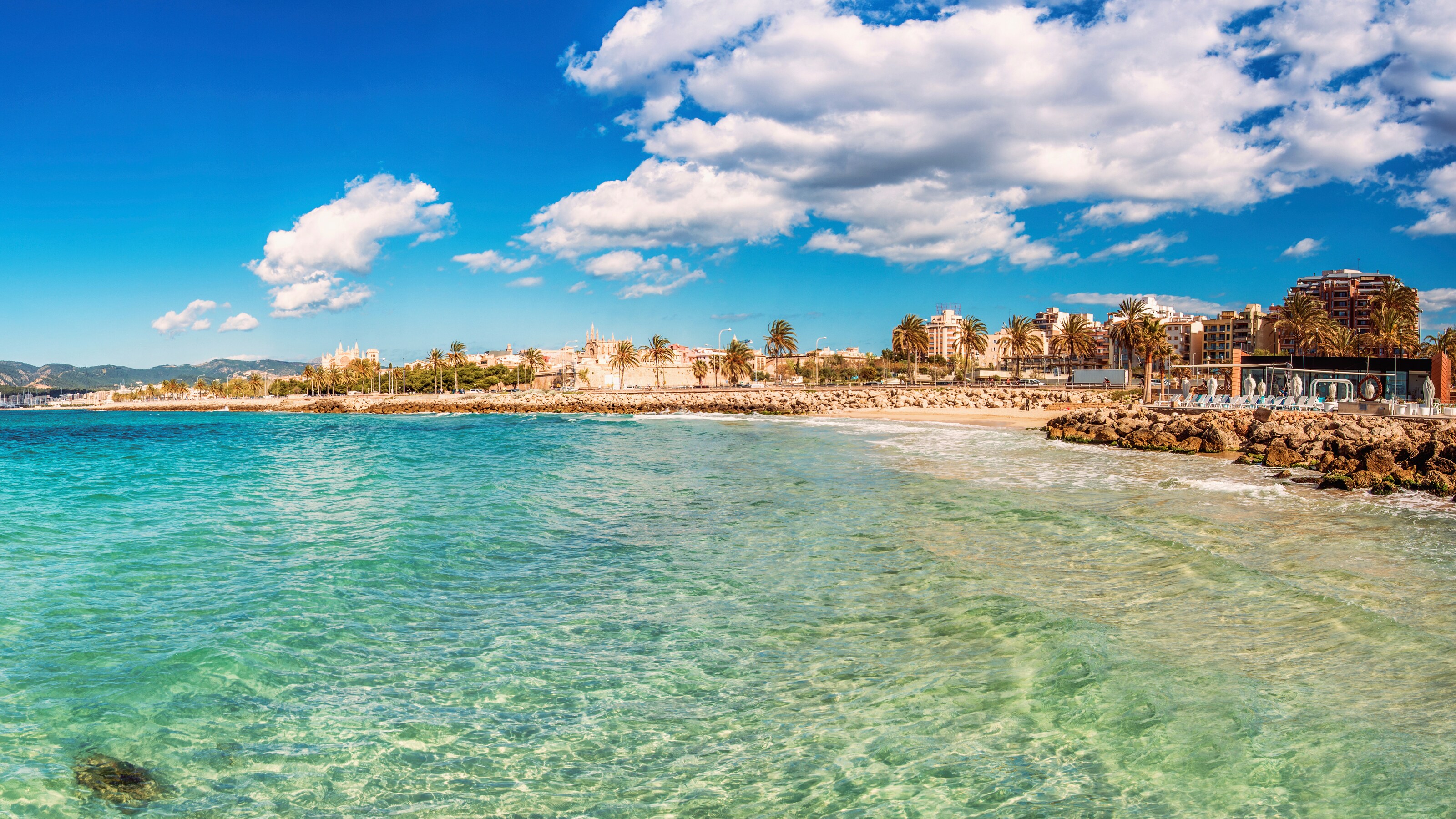 A daytime view of the beach, palm trees and buildings