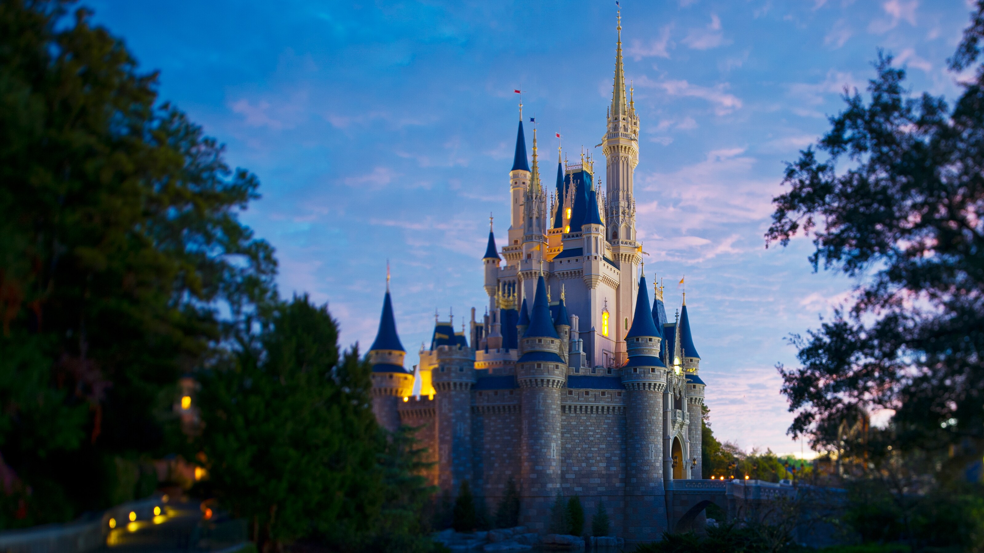 Cinderella Castle at Magic Kingdom park surrounded by trees with lights illuminating the towers 