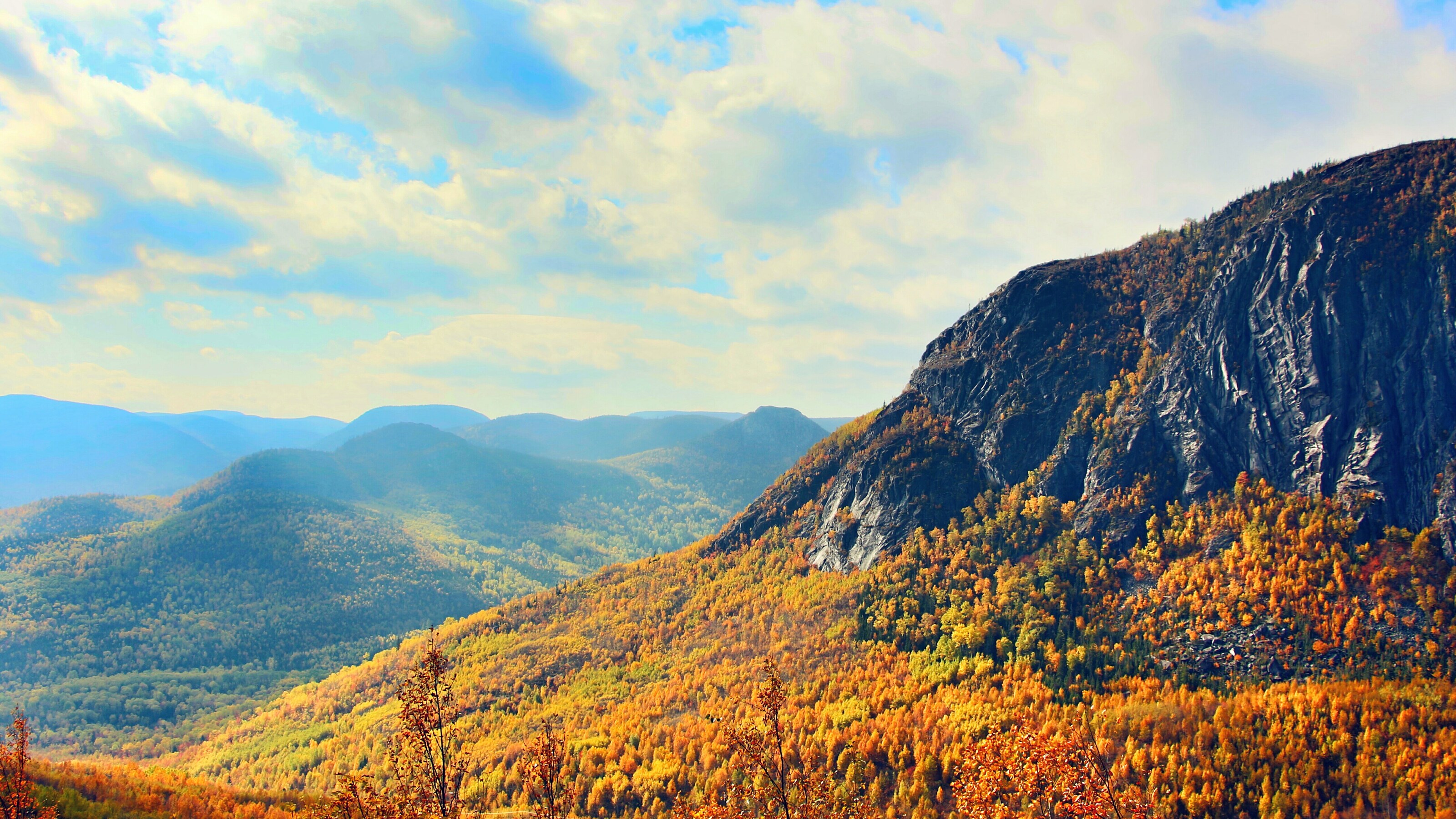 A tree covered mountain range