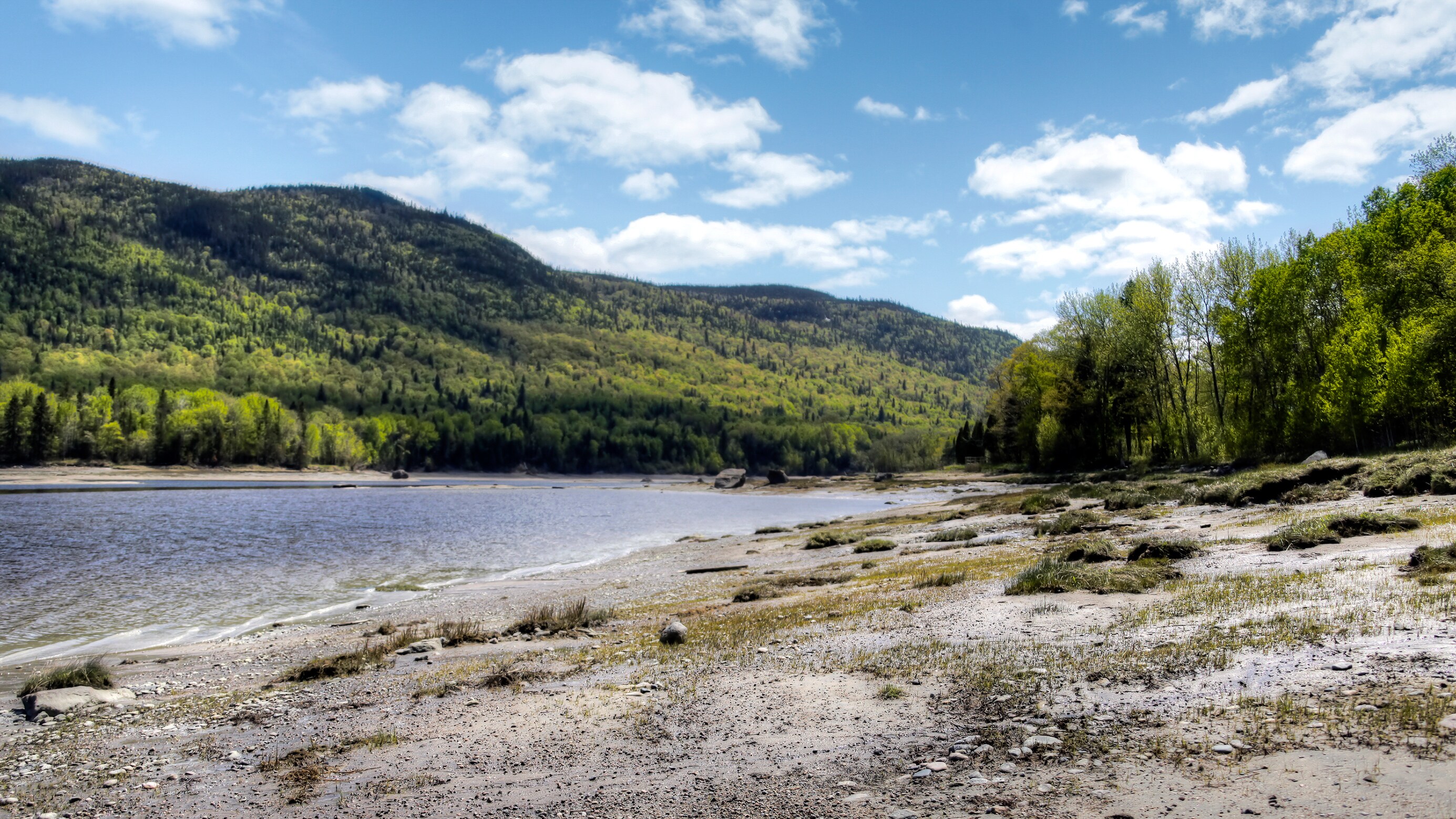 A tree covered mountain range overlooks a river and a tree dotted shoreline