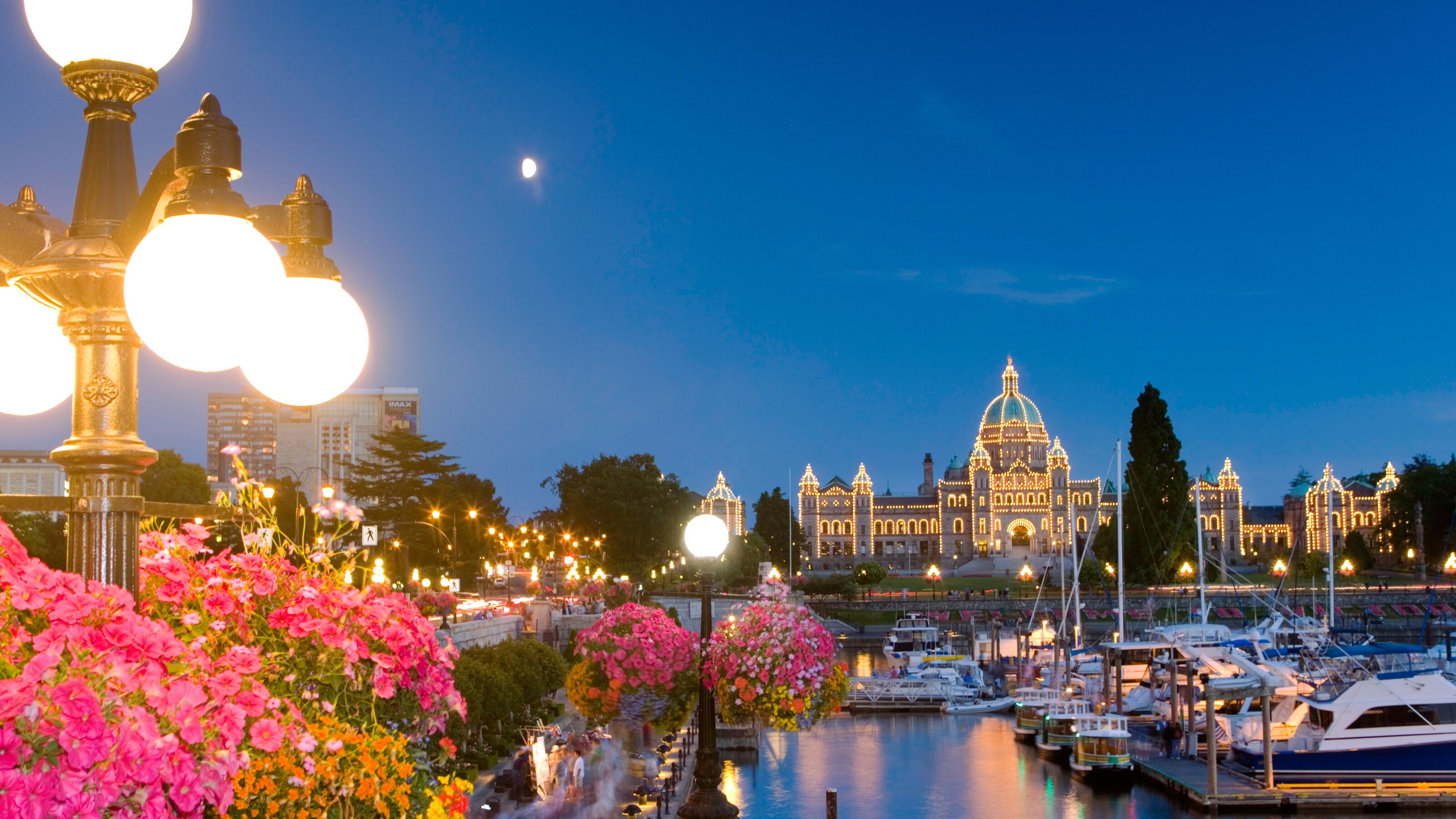 A marina filled with boats sits in front of a large building lined with lights with a domed roof