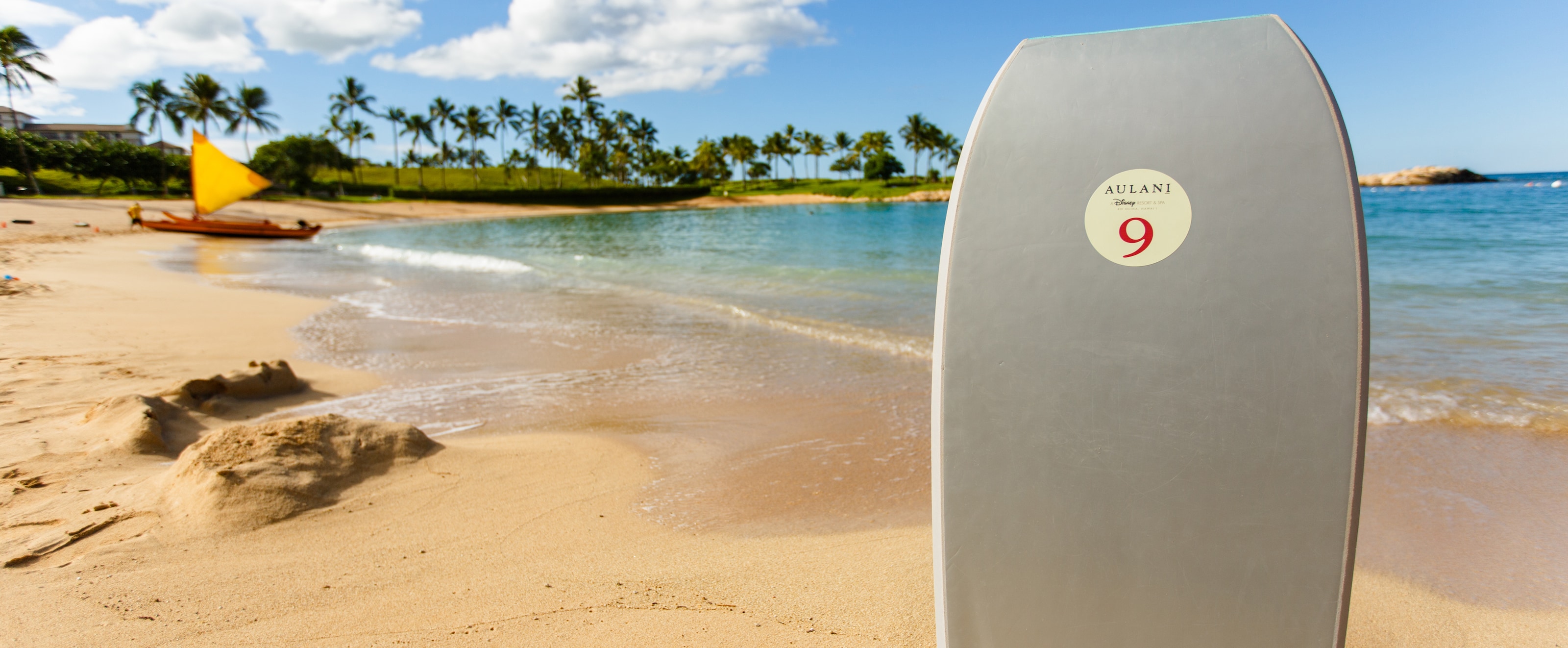 Snorkel Gear Al Aulani Hawaii Resort Spa A Boogie Board Stands Upright In The Sand On Ss Of Tropical Beach