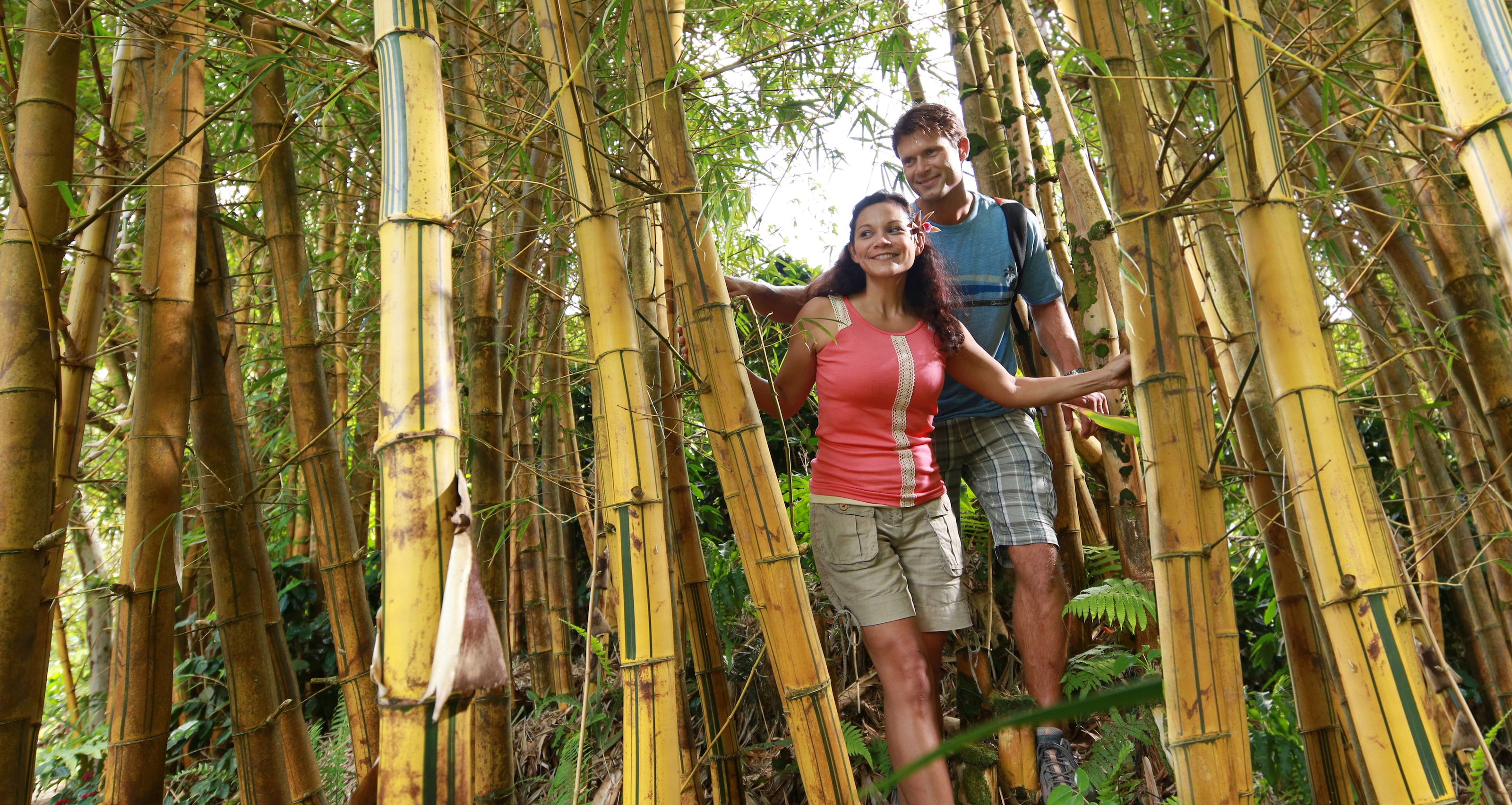 Manoa Valley Rainforest and Bamboo Forest Hike Excursions Aulani