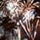 Several bursts of fireworks fill the night sky above a line of palm trees