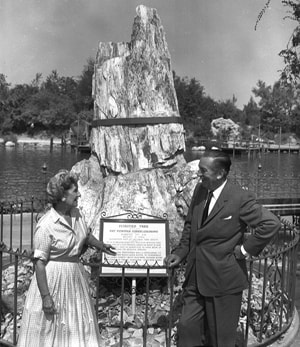 Petrified Tree at Disneyland Park