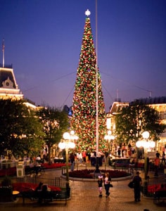 Christmas Tree on Main Street, U.S.A.