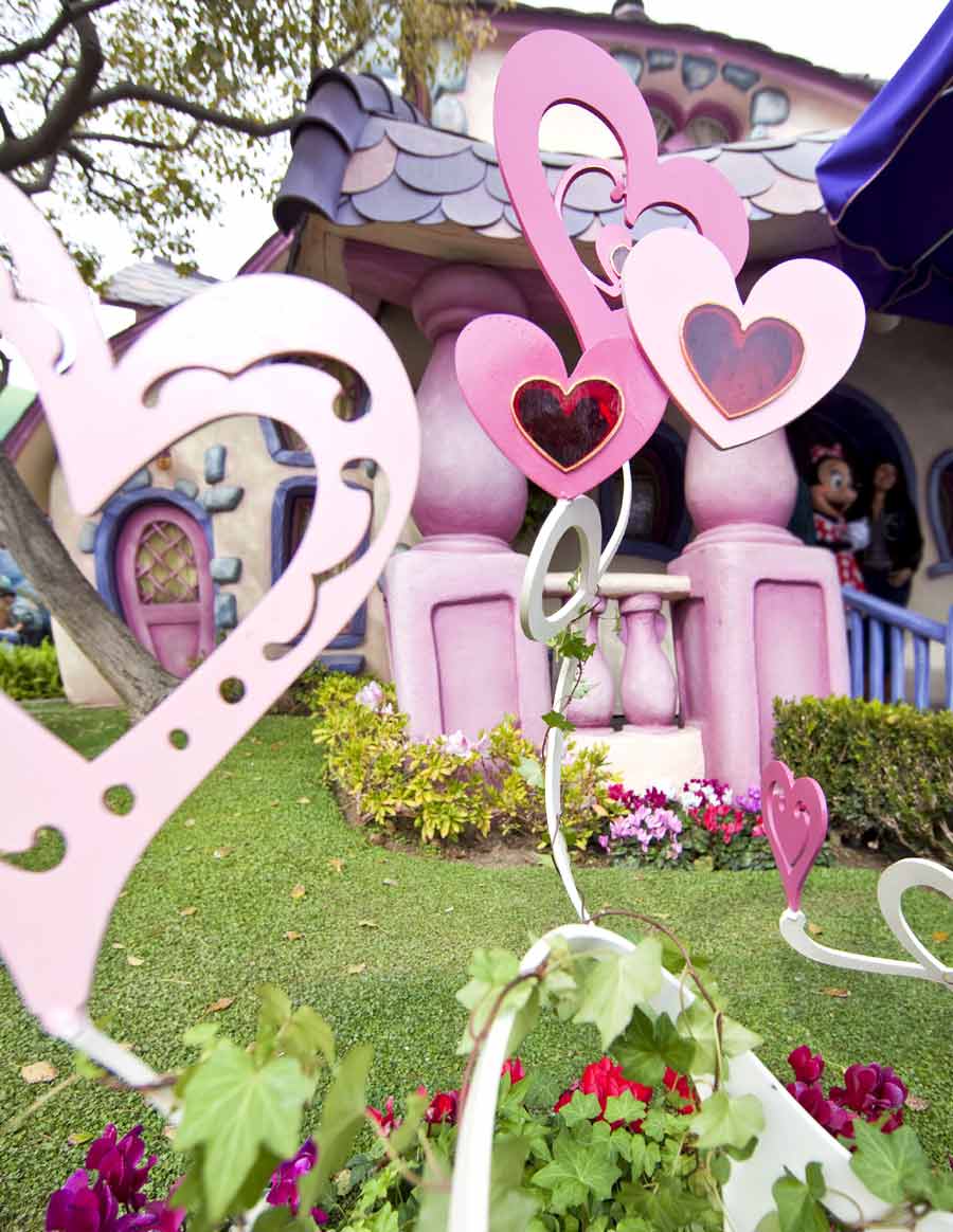Valentine’s Day Horticulture Disney Parks Blog