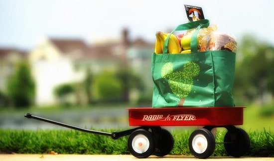 Disney Vacation Club: Grocery Delivery