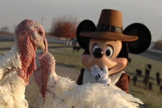 Happy Thanksgiving from Disney Parks