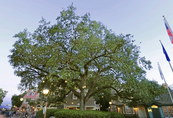 'Liberty Tree' at Magic Kingdom Park