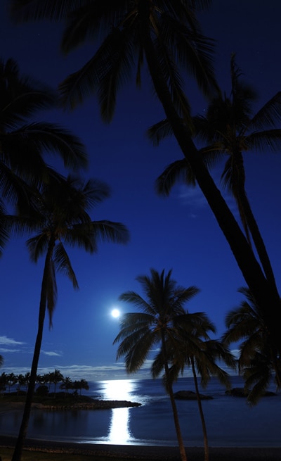 Moon Setting at Aulani, By: David Roark