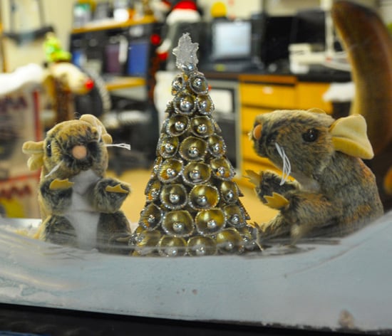 Woodrat Plush Animals Decked Out for the Holidays at the Wildlife Tracking Center
