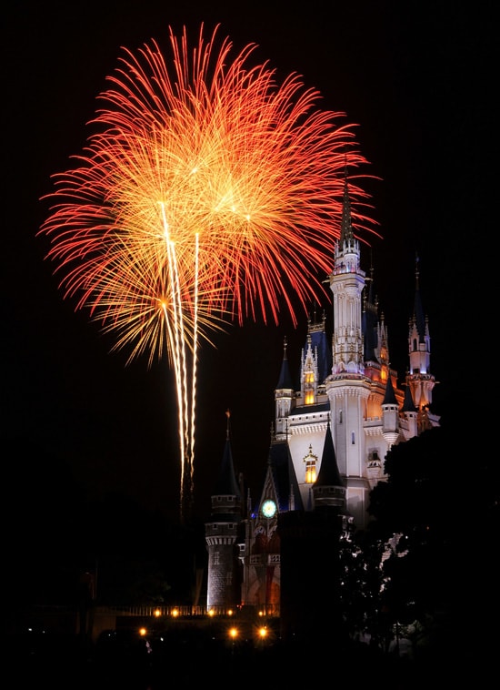 Happy New Year from Tokyo Disneyland
