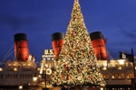 Christmas at Tokyo Disneyland