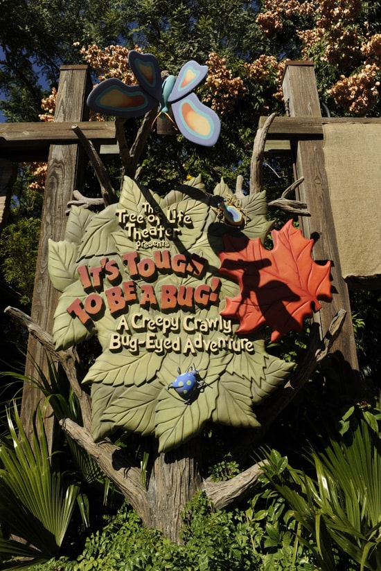 “It’s Tough to be a Bug!” attraction at Disney’s Animal Kingdom theme park