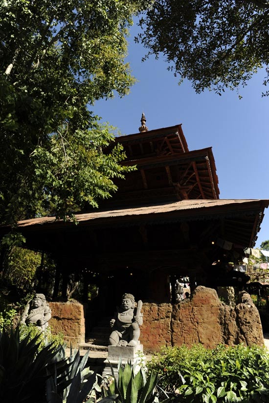 Expedition Everest in the Asia Area of Disney’s Animal Kingdom Theme Park