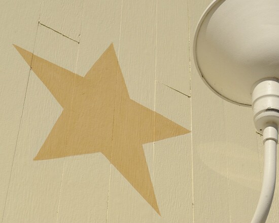 Where at Disney Parks Can You Find This Star?