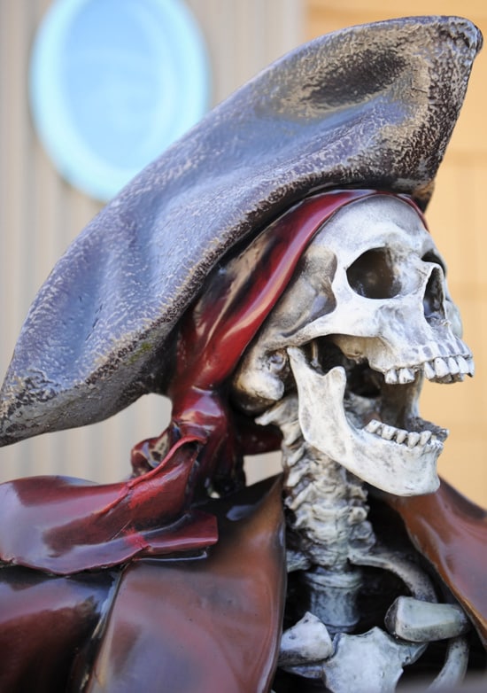 Where at Disney Parks Can You Find This Pirate?