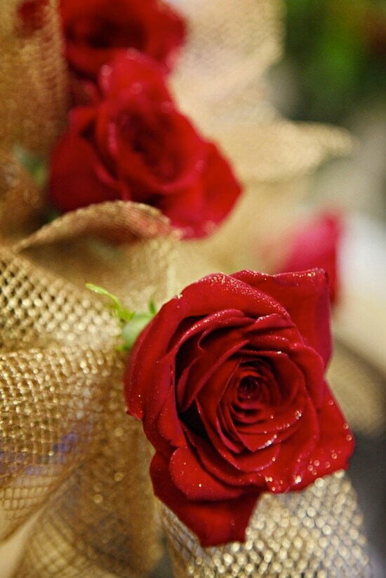 The Wishing Rose, By: Regina Blaney