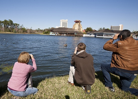 Guests Participate in the First Annual Holiday Bird Count at Walt Disney World Resort