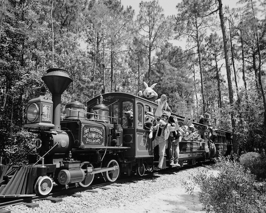 Walt Disney World Railroad Train Station, Florida Weddings