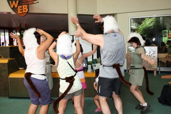 Wildlife Wednesdays: Do the Cotton-Top Tamarin Dance at Disney’s Animal Kingdom