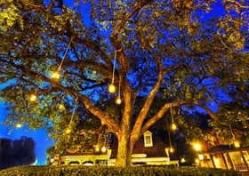 The Liberty Tree at Magic Kingdom Park