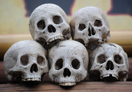 ARRRGGGGHHH, Where at Disney Parks Can Ye Be Findin’ These Skulls?