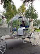 A Halloween Wedding at Walt Disney World