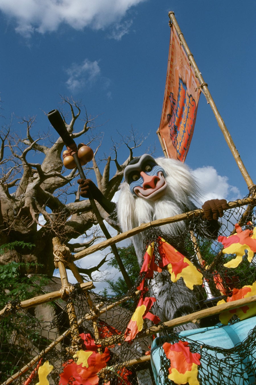 Still Jammin' at Disney's Animal Kingdom After All These Years | Disney  Parks Blog