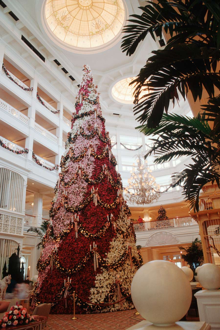 A large poinsettia tree at Disney’s Grand Floridian Resort & Spa in 1992