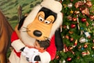 Goofy Spreading Holiday Cheer at Walt Disney World Resort