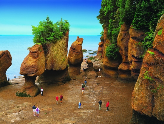 Experience Hopewell Rocks in Saint John, New Brunswick, with Disney Cruise Line’s Port Adventures