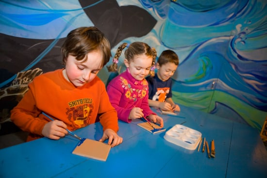 The Whale of a Time Featuring Exclusive Youth Activity at the New Brunswick Museum with Disney Cruise Line