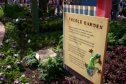 The Creole Garden