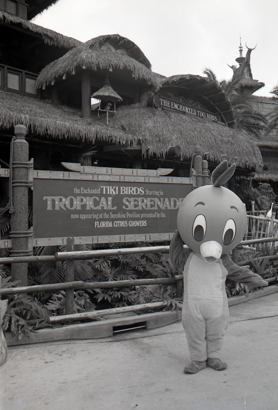 Vintage Walt Disney World: The Orange Bird Then and Now | Disney Parks Blog