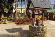 Wishing Well in the Morales Family's Backyard - ‘My Yard Goes Disney’