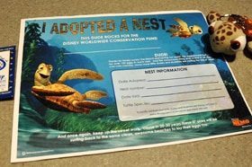Disney Parks and Resorts Guests Can Help Sea Turtles By Adopting a Nest